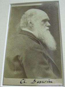   ORIGINAL SIGNED 1871 CHARLES DARWIN PORTRAIT CARTE DE VISITE  