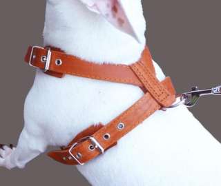 Orange 25 30 Real Leather Dog Walking Harness Amstaff Medium/Large 