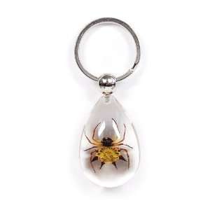   Real Bug Key Chain Tear Drop Shape Clear Spiny Spider