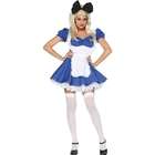 Cinema Secrets Alice of Wonderland Adult Costume Large