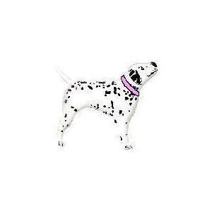   Realistic Dalmatian Dog Pink Collar   Mylar Balloon Foil Toys & Games