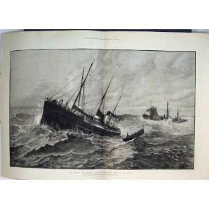    1881 Loss Sea Clan Macduff Boat Upupa Rescue Sketch
