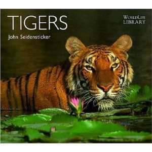  Tigers (Worldlife Library) [Paperback] John Seidenstic 