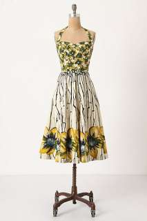 Burgeoning Hypericum Dress   Anthropologie