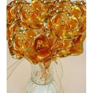 12 Gold Dipped Roses  Grocery & Gourmet Food