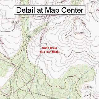  USGS Topographic Quadrangle Map   Quito Draw, Texas 