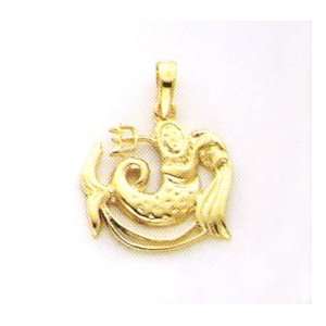  14kt gold Aquarius zodiak charm Gold and Diamond Source 
