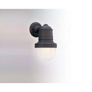  Troy Lighting B2273IB Beaumont Outdoor Sconce, Industrial 