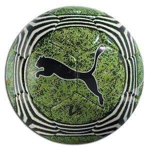 Puma V5.06 Grass Soccer Ball (size 5) 