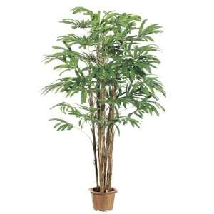  Pack of 2 Decorative Rhapis Palm Trees with Hexagon Pots 8 