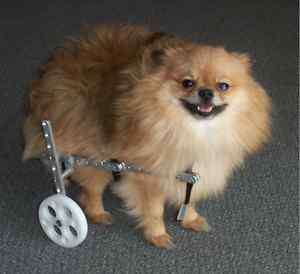 Ruffs Wheels Dog Wheel Chair 2 9lbs NO MEASURING  