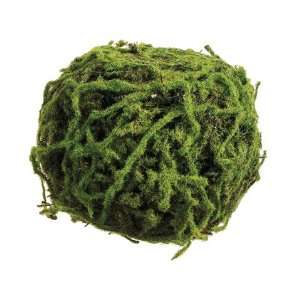  6 Sphagnum Moss Ball Green (Pack of 6) Patio, Lawn 