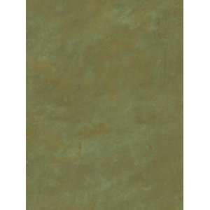  Wallpaper Steves Color Collection Metallic BC1581861