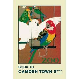  London Zoo Exotic Birds   Poster by Weeks (12x18)