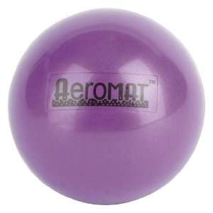  Aeromat Mini Weight Ball Package Exercise Ball