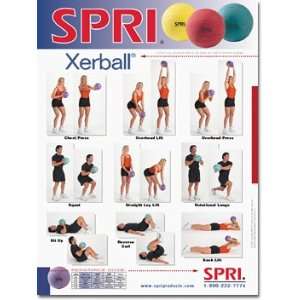 SPRI Xerball Exercise Wall Chart 