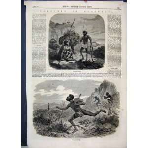  1863 Australia Snake Hunting Bee Hunters Antique Sketch 