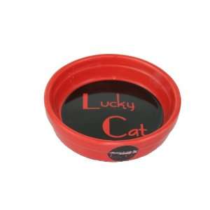  Lucky Cat Red Cat Bowl   5