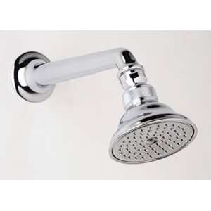  6 1/2 inch Shower Arm with 3 inch Showerhead C5504