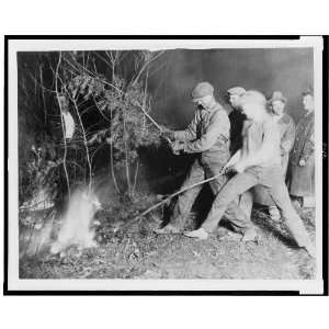  Two men fighting forest fire with tree branches, 1920s 