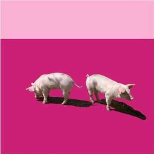   Animals Piglets Limited Edition Wall Art Panel in Pink