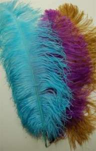 10 OSTRICH PLUMES 23 28 Full Wing MANY COLORS Feathers  