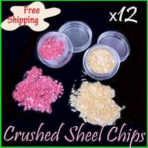 NEW 12 COLOR CRUSHED SHELL POWDER NAIL ART TIPS DECORATION 3D UV GEL 