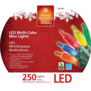 250 Light LED Multi Color M5 Light Set 5554284  