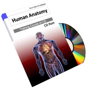 Human Anatomy Atlas Physiology Medical Biology Skeleton Training 