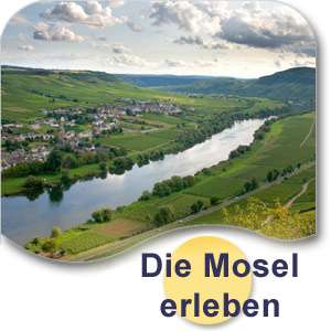 Romantische Mosel Kurzreise in Osann Monzel 7 Ü/HP im DZ  