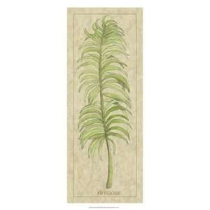 Arecaceae Leaf   Poster by Alicia Ludwig (12x28) 