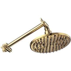  Danze D451159PBV Showerhead