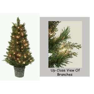    Lit Potted Cedar Pine Artificial Tree   Clear Lights
