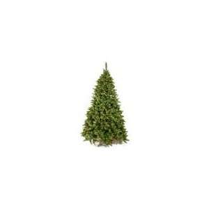   22102   6.5 x 49 Cashmere Pine 450 Warm White Italian