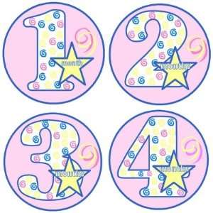  Pink Starry Night Monthly Baby Bodysuit Stickers Baby