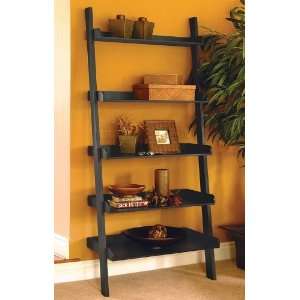  Studio Wall Shelf with 5 Tier in Black Finish