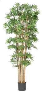 SILK REAL BAMBOO TREE Tropical 7 ft Plants NEW Trees  