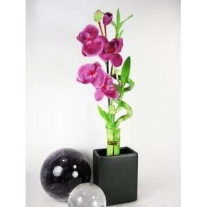   Bamboo Plant Arrangement w/ Black Ceramic Vase & Silk Orchid Flower