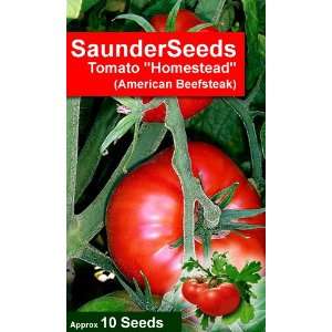 10 Tomato Seeds Homestead Lycopersicon esculentum, Beefsteak variety 