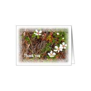  Thank You, for Bridesmaids Gift Card Health & Personal 