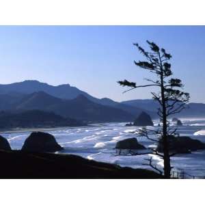  Cannon Beach from Ecola State Park, Oregon, USA Stretched 