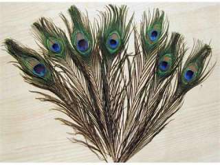  50pcs New Natural Color Peacock Tail Feathers About 26 