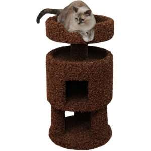  Contemporary Cat House   Green