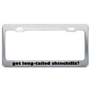 Got Long Tailed Chinchilla? Animals Pets Metal License Plate Frame 