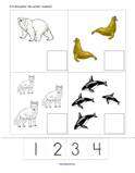 Theme Pack POLAR ANIMALS Preschool PreK Curriculum  