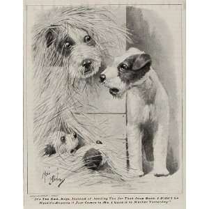  1930 Print Terrier Dogs Roby Robert Livingston Dickey 