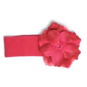  Raspberry Rose Headband Beauty