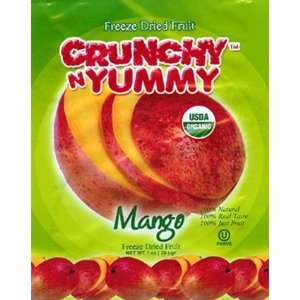 Freeze Dried Fruit Mango  6 pack  1 Grocery & Gourmet Food