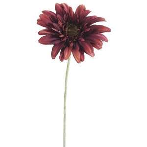  Club Pack of 12 Artificial Two Tone Wine Gerbera Daisy 