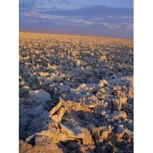 Atacama Salt Flats at Sunset, Salar De Atacama, Northern Area, Chile 